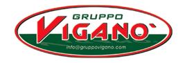 Gruppo Viganò